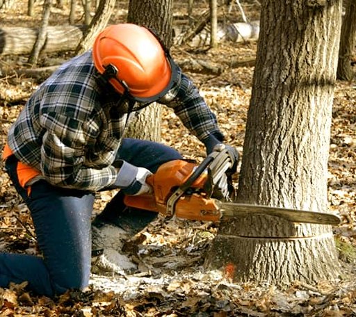 Tree Removal in Chancellor, SD